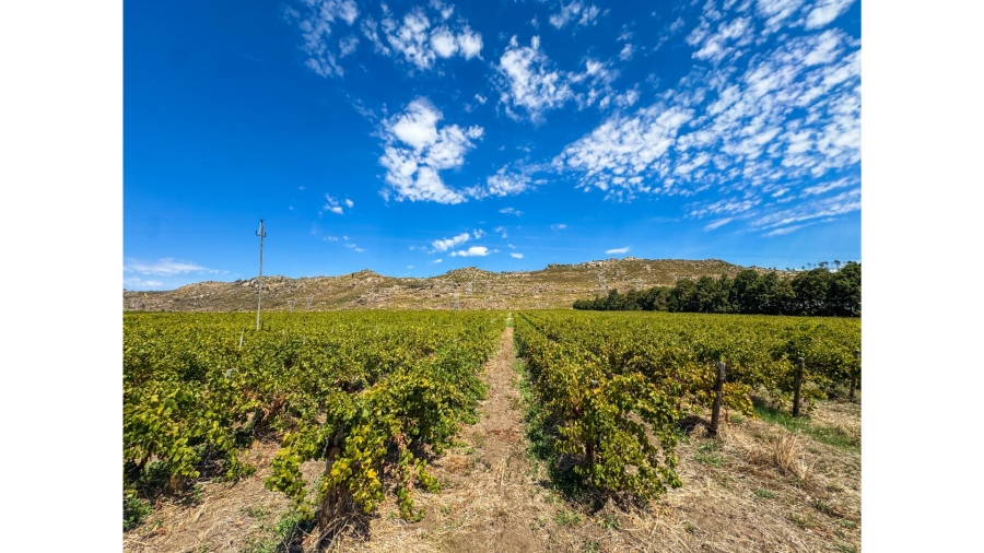 Commercial Property for Sale in Wolseley Western Cape